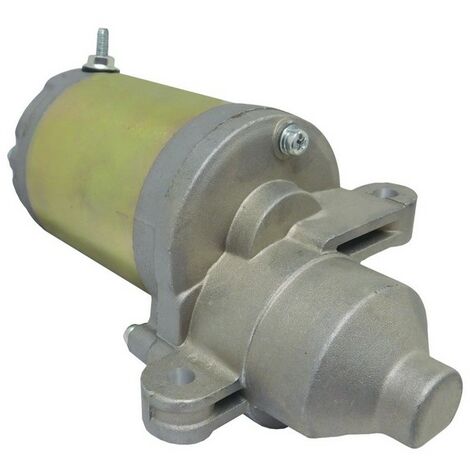 Démarreur tracteur tondeuse moteur MTD - 751-12207
