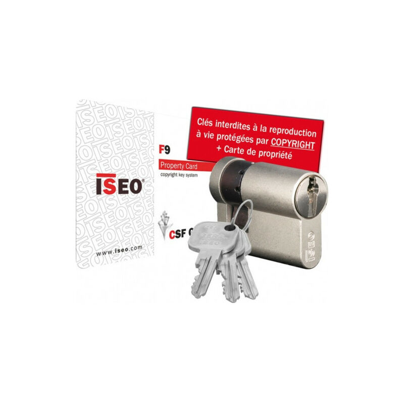 Demi-cylindre de serrure iseo F9 Argent n/a 10 mm 50 mm Nickelé Demi-cylindre