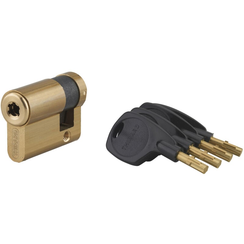 Demi-cylindre de serrure Surveyor, 31x10mm, laiton, anti-arrachement, 4 clés