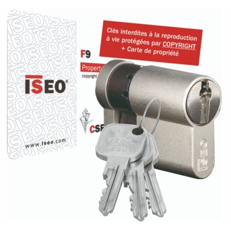 Cylindre de porte ISEO R6 de sécurité à petit prix