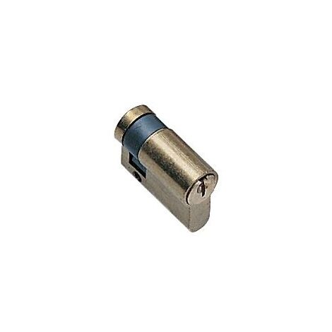 Demi-cylindre TE5 30 x 10 indexable, laiton poli, s'entrouvrant - Tesa securité