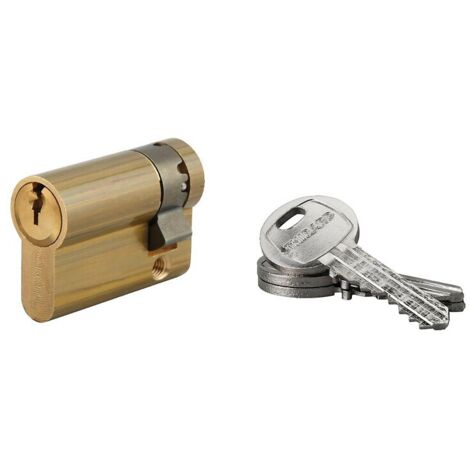 Demi cylindre type HG6 ouverture La Poste 3 clés 35 X 10 mm en laiton poli - FTH THIRARD