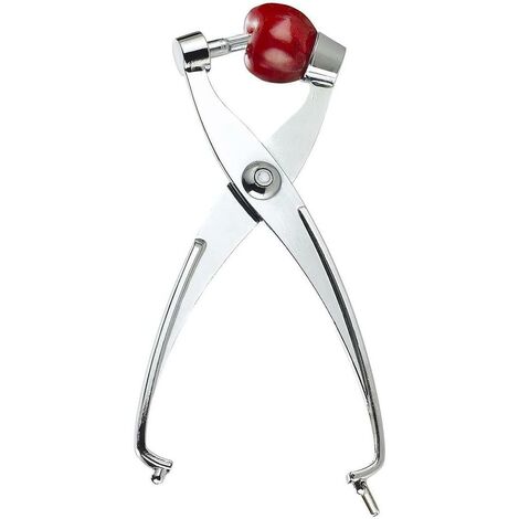 Dénoyauteur de cerises : pince à dénoyauteur de cerises et dénoyauteur d'olives 2 en 1 en métal massif