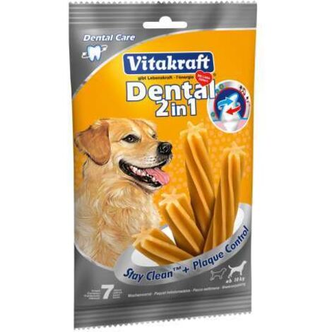 Dental 2 In 1 Medium