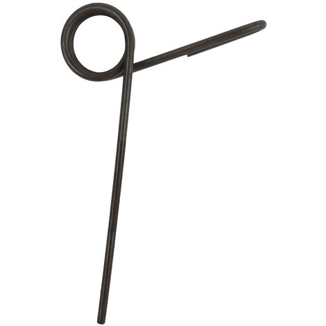 Dente per erpice strigliatore posteriore lungo 220mm Ø 8mm