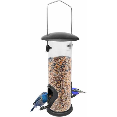 DENUOTOP Cage, voliere et perchoir pour oiseau Station d'alimentation pour oiseaux, mangeoire à oiseaux panoramique, couvercle à visser pour mangeoire automatique, colonne d'alimentation en verre acr