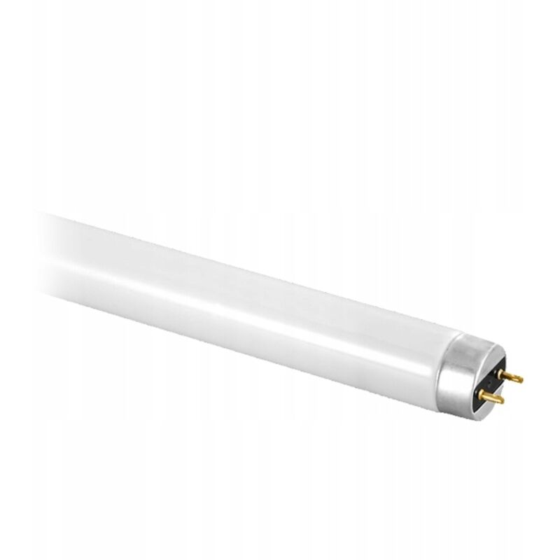 Lampe fluorescente T8 18 W 6400 K
