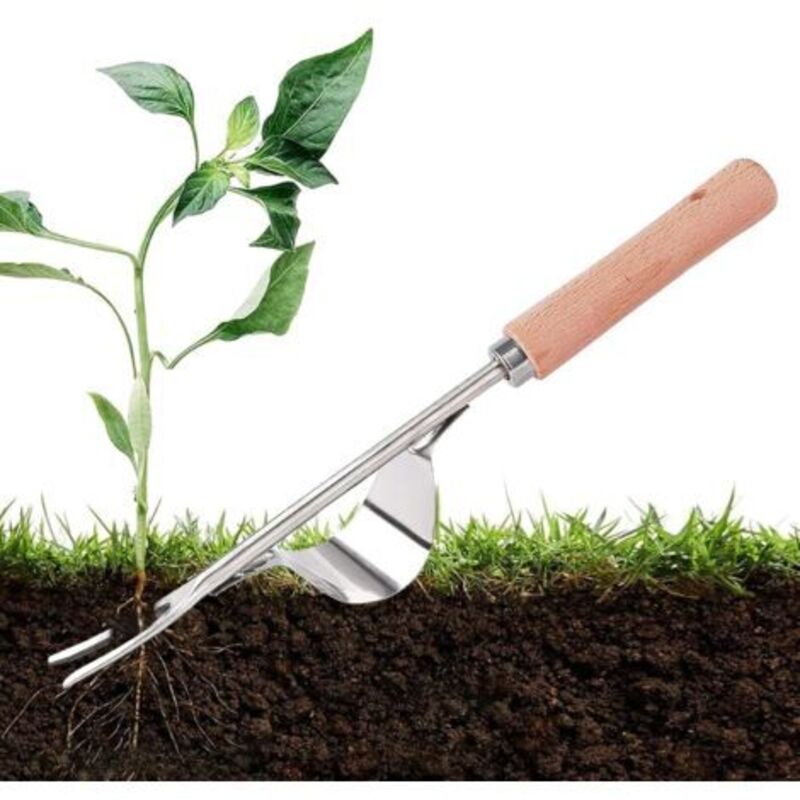 Desherbant Gazon,Desherbant liseron,Désherbeur Manuel en Acier Inoxydable, Outil Gouge de Désherbage en Poignée Bois Outil De Jardinage Pissenlit