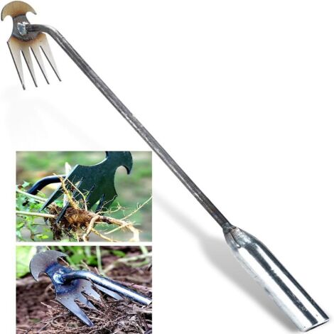 Désherbeur Manuel à 4 Dents en Acier Forgé - Outil de Jardin Solide pour Arracher les Mauvaises Herbes Profondes - Longueur 30 cm