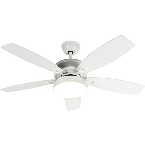 Ceiling fans