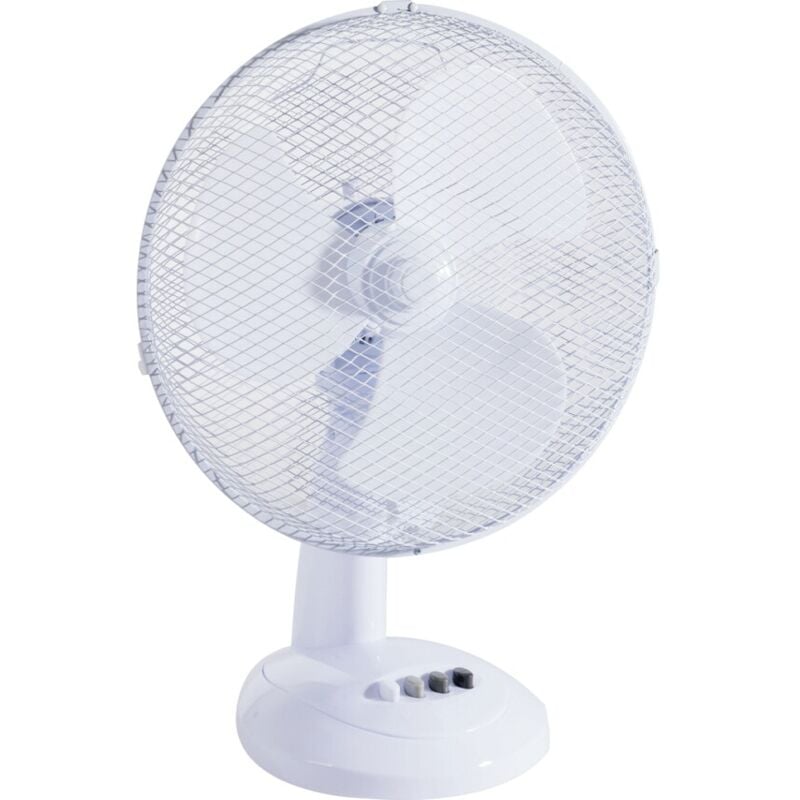 Zoro Select - 12i' Desk Fan with Quiet Motor, 2 Speed Control, 230V