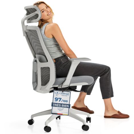 Desktronic Chaise de Bureau Ergonomique réglable SitOne - Gris