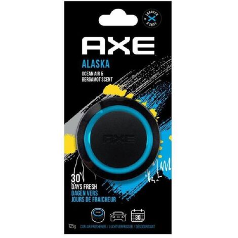 DÉSODORISANT AXE GEL CAN ALASKA
