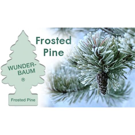 Désodorisant Wunder Baum - Pin givré