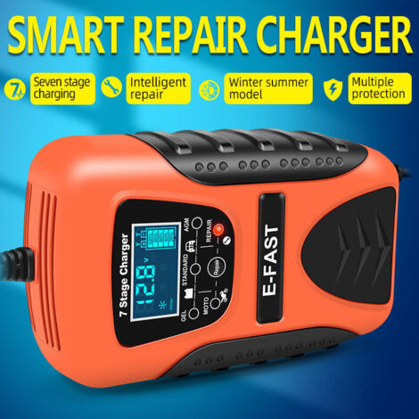 Desolfatatore per batterie SJLERST, caricabatterie a 7 fasi per auto, barche, tosaerba e motociclette.