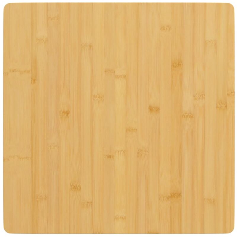 Dessus de table 50x50x1,5 cm bambou Vidaxl