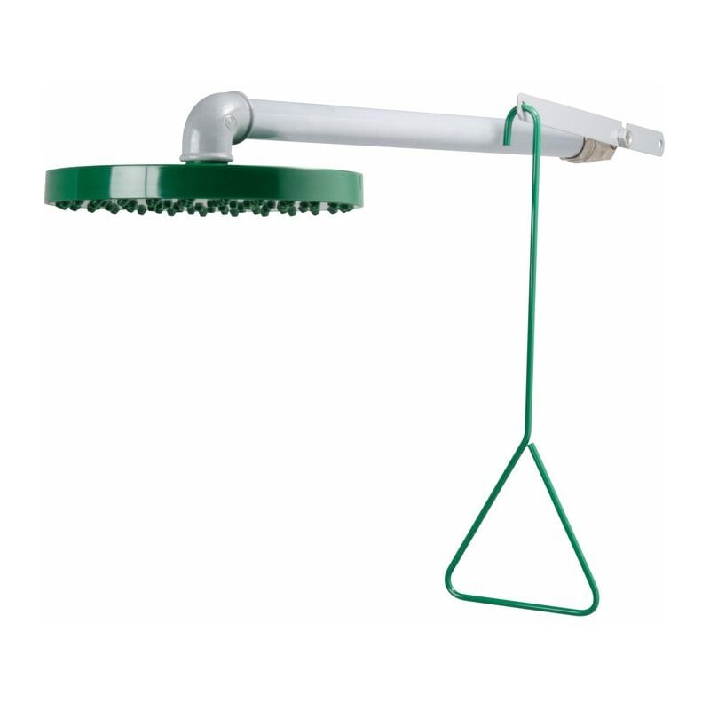 Douche murale de sécurité Delabie