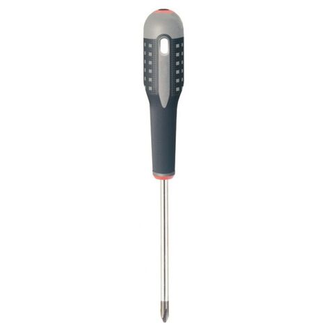 DESTORNILLADOR ERGO PHILIPS - 1X75 MM