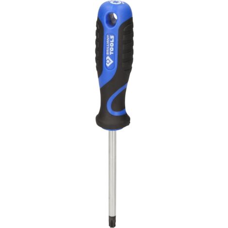Destornillador TORX, T40