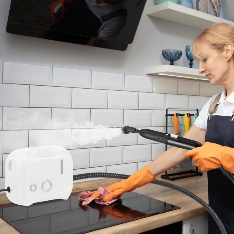 Détachant à Vapeur Portable 1600W Nettoyeur à Vapeur Domestique avec Réservoir d'Eau de 1 L Machine à Vapeur Pressurisée Chauffage en 10 Secondes