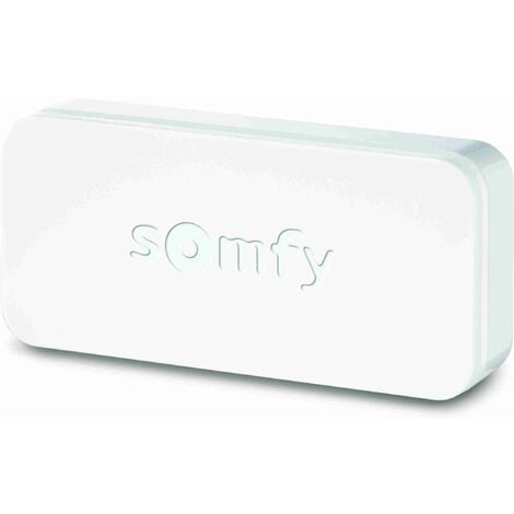 Somfy alarme : détecteur de mouvement extérieur (so 2401054) - Expert  domotique