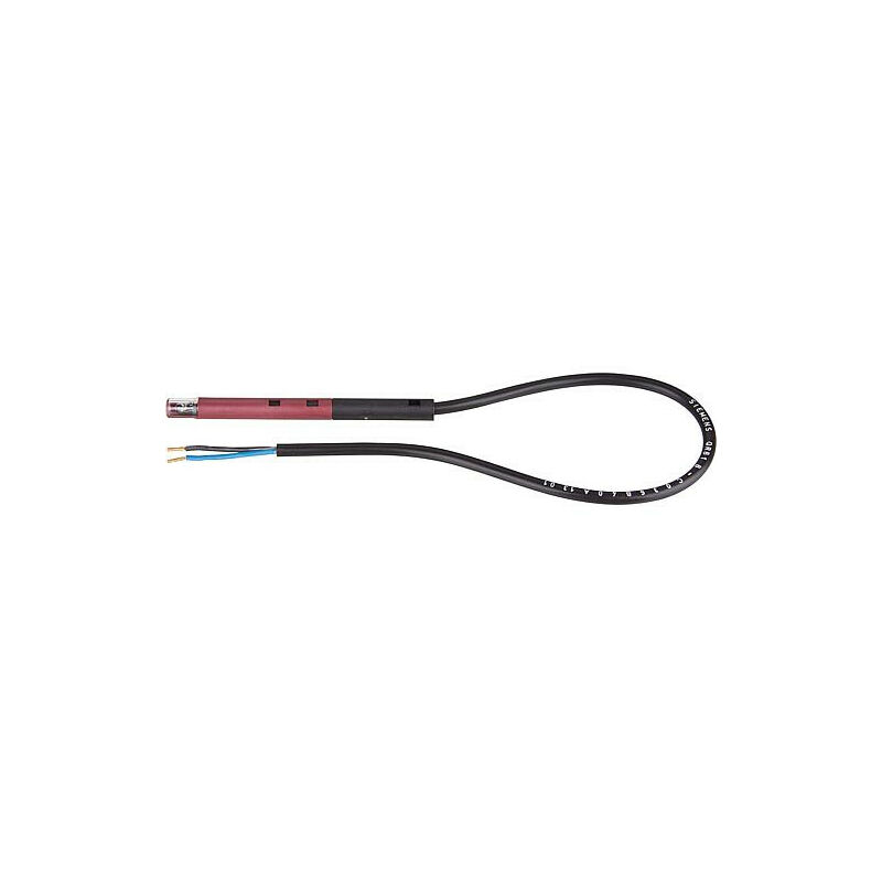 Detecteur de flamme QRB1B-C036B40A