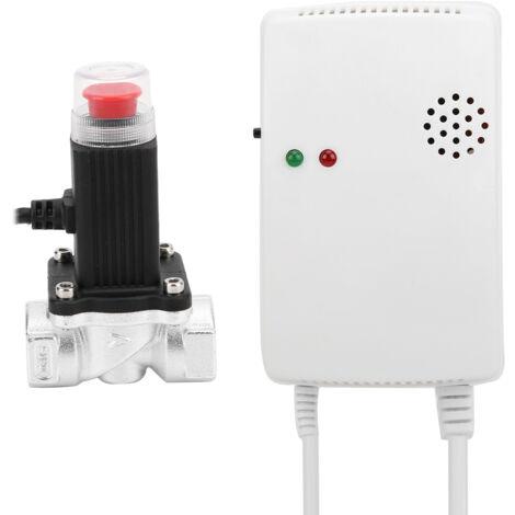 Détecteur de Fuite de Gaz avec Vanne d'Arrêt Automatique, Alimentation 110-220V AC, Prise Européenne, Capteur Murale pour Sécurité Domestique