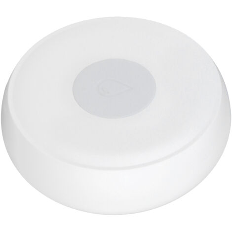 Détecteur de fuite d'eau intelligent sans fil 2.4 GHz - Alerte précoce pour sécurité maison