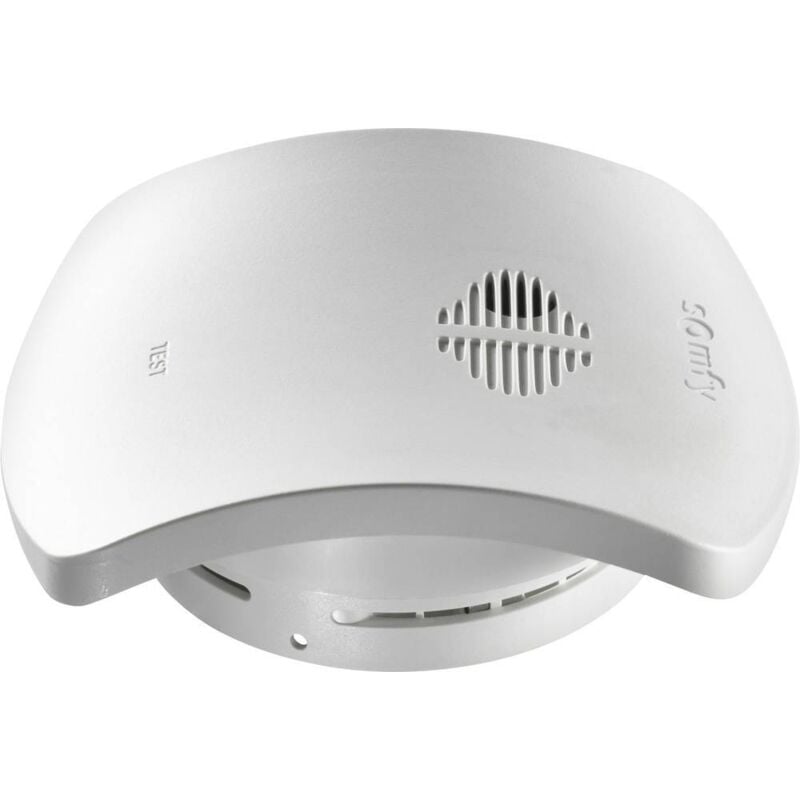 Somfy - 2401368 Accessoire pour système d'alarme sans fil Détecteur de fumée sans fil