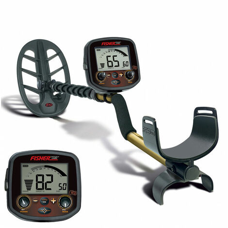 Détecteur de métaux Fisher F19 DD 27CM