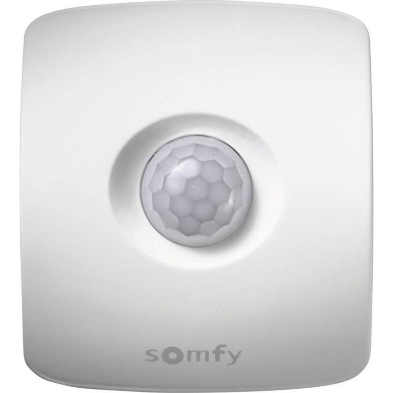 Somfy - 2401361 Accessoire pour système d'alarme sans fil Détecteur de mouvement sans fil