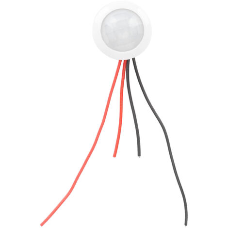 Détecteur Infrarouge à Induction pour Éclairage LED, Accessoire Capteur Électronique 12V/24V