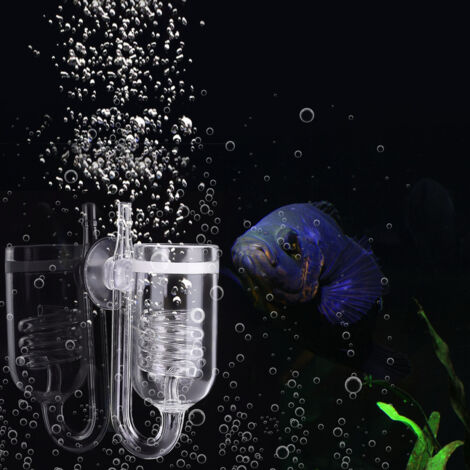 Détendeur de CO2 en Verre Transparent pour Aquarium Plantes Aquatiques Équipement de Diffusion de CO2-AUTRES