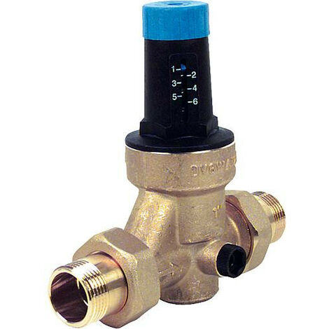 Détendeur de pression, avec cartouche amovible et raccords à tétine. Raccord 2 "M Caleffi 536590  2"M