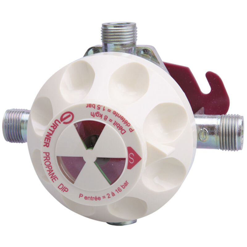 Inverseur propane 8kg/h