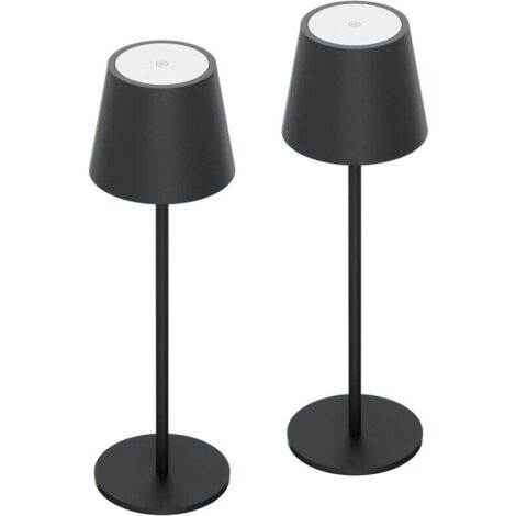 Deux lampes à intensité variabledirigéEnsemble de lampes de bureau à piles, gris anthracite, rechargeables, en alliage d'aluminium.