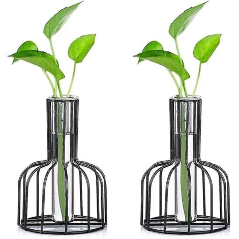 Deux vases en fer forgé noir et des flacons à semis avec armature métallique.