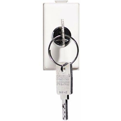 Deviatore 2P Matix 16A 250V con chiave, bianco BTIAM5007D