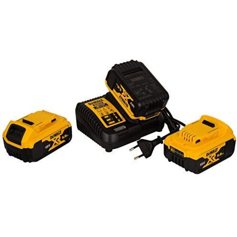 copy of Starter-Kit 18V (2x5,0 Ah) mit Ladegerät (DCB115) - DEWALT DCB115P2
