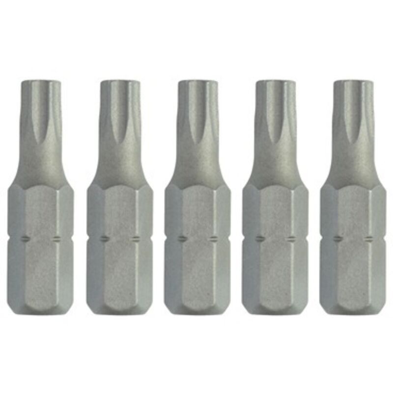 25mm embout Torx T25