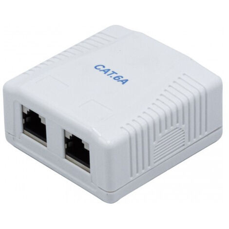 DEXLAN BOITIER MURAL 2 PORTS CAT6A (273263)