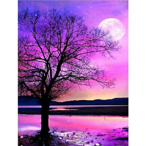 DIY Diamond painting Beautiful river and cottage Diamond Art Kits for  Adults Beginners 5D DIY Full drilling Diamond Dots Painting Arts Craft for  Home poster Wall Art Decor 40*30cm rimless