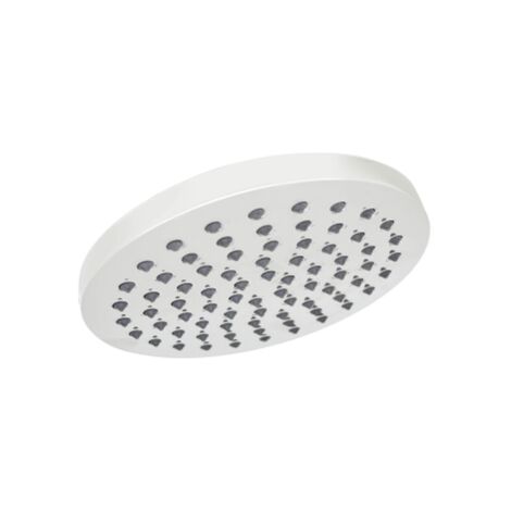 DianHydro 12608 pomme de douche ronde  20cm anticalcaire en ABS chrome'