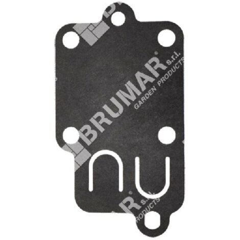 Diaphragme pour carburateurs BRIGGS & STRATTON 270026 - 020143