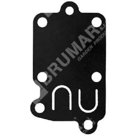 Diaphragme pour carburateurs BRIGGS & STRATTON 272538S - 014419