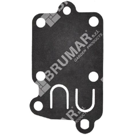 Diaphragme pour carburateurs BRIGGS & STRATTON 272538S - 020220