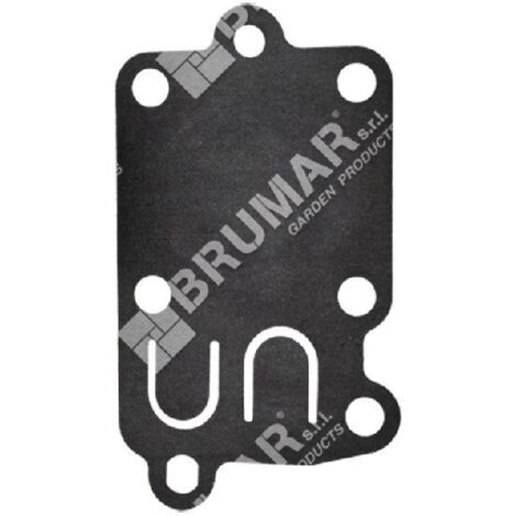 Diaphragme pour carburateurs BRIGGS & STRATTON 4168 - 020123
