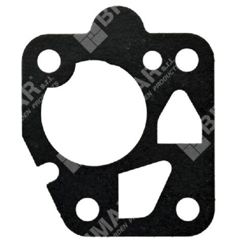 Diaphragme pour carburateurs KAWASAKI 11009-2062 - 310101-6162A - 001346