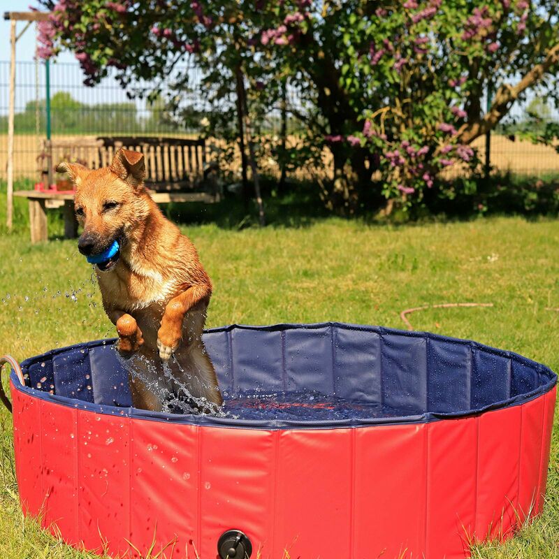 lionto Piscina per Cani pieghevole in PVC Piscinetta per Cani Bagno per Cani Piscina per Cani di diverse misure, (M) 120 cm Ø Altezza 30 cm Blu/Rosso