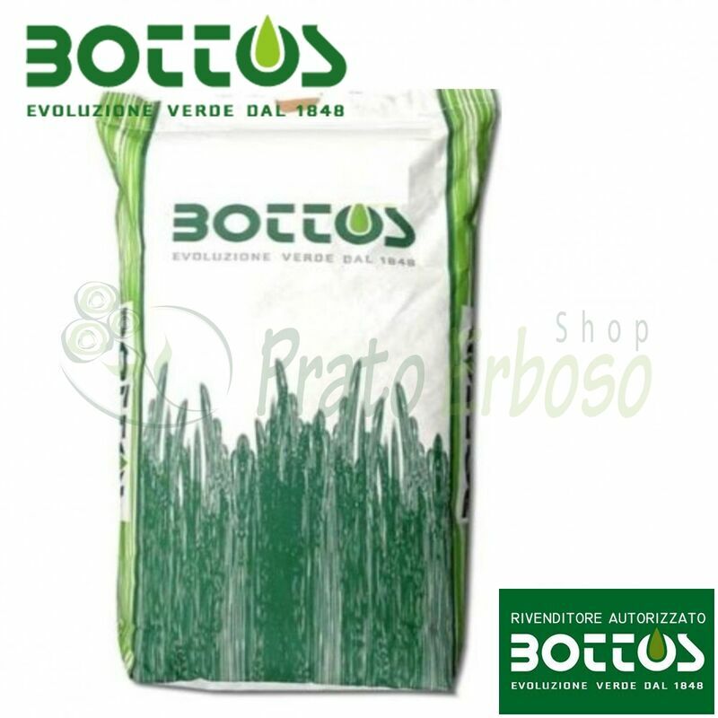 Bottos - Dichondra Repens - Graines pour pelouse 5 kg